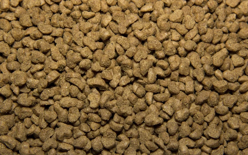 TASTY с курицей 350 г