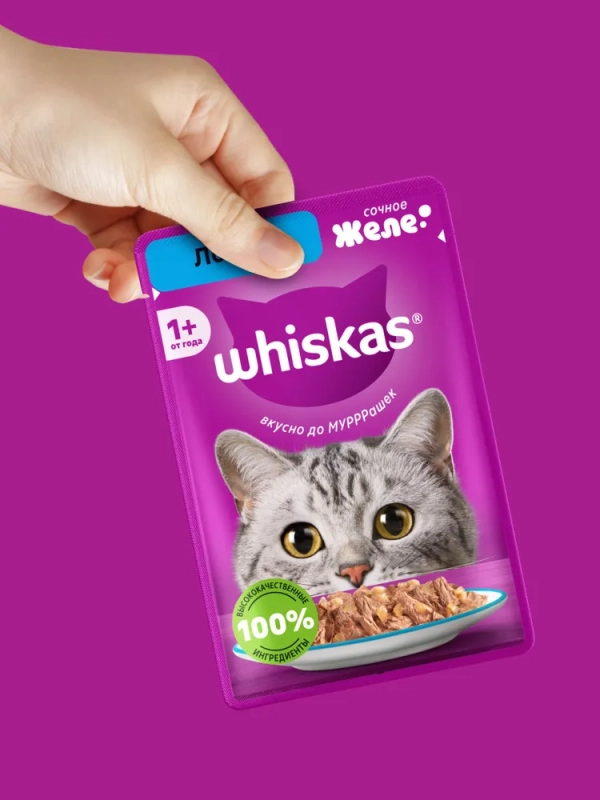 WHISKAS желе с лососем 75 г WHISKAS желе с лососем 75 г