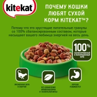 KITEKAT "Мясной пир" 350 г