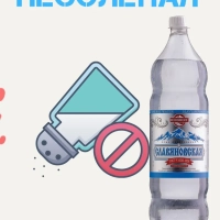 Вода минеральная ЕМВ+ "Славяновская" лечебно-столовая газированная 1.45 л