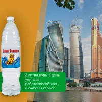 Вода питьевая РУЧЕЕК "Долина родников" газированная 1.5 л