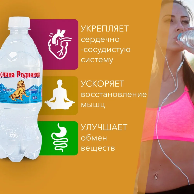 Долина родников вода питьевая негазированная  0,5л