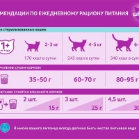 WHISKAS подушечки для стерилизованных кошек и котов с говядиной 350 г