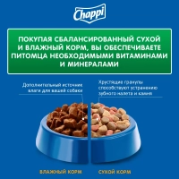 CHAPPI "Сытный мясной обед" по-домашнему с говядиной 600 г