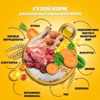 PEDIGREE с говядиной для собак миниатюрных пород 600 г