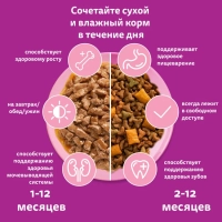 WHISKAS рагу с ягненком для котят 75 г