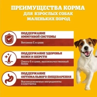 PEDIGREE с говядиной для собак мелких пород 600 г