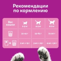 WHISKAS подушечки с нежным паштетом "Аппетитное ассорти с курицей и индейкой" 800 г