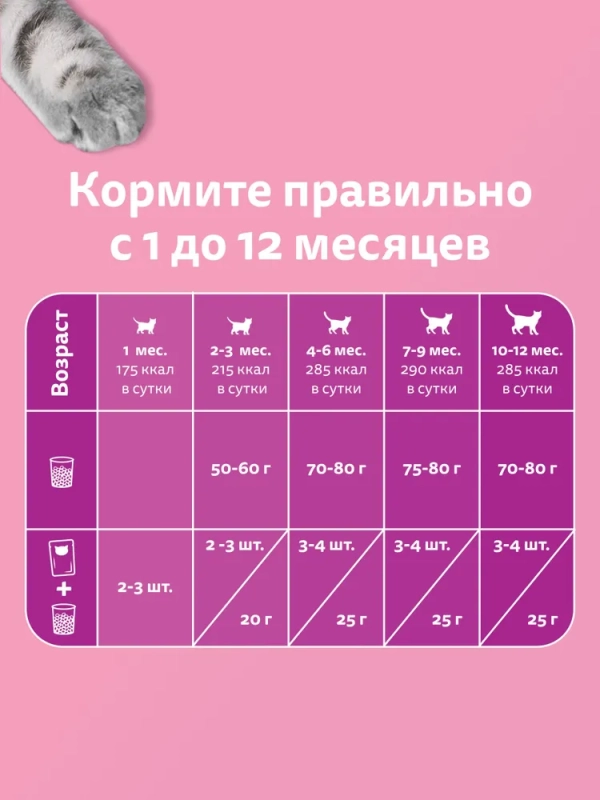 WHISKAS рагу с ягненком для котят 75 г WHISKAS рагу с ягненком для котят 75 г