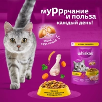 WHISKAS подушечки с нежным паштетом "Аппетитное ассорти с курицей и индейкой" 800 г