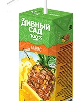 Нектар ДИВНЫЙ САД ананасовый 0.2 л