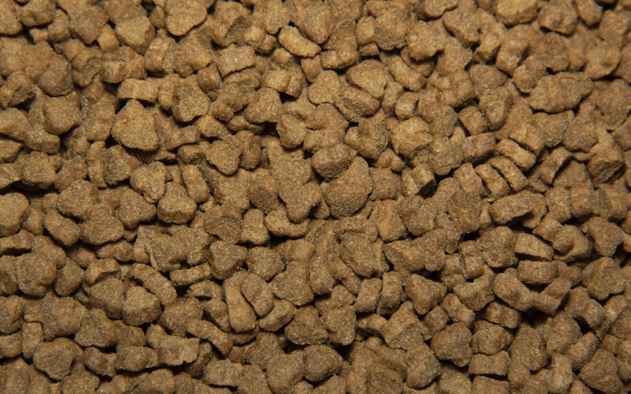 TASTY с говядиной 350 г