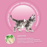 PURINA One курица и злаки для котят от 1 до 12 месяцев 200 г