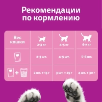 WHISKAS желе с лососем 75 г